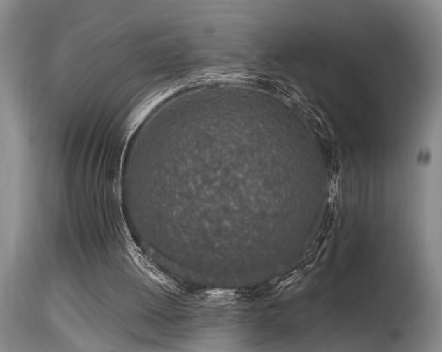 X0000115630052200911101446
