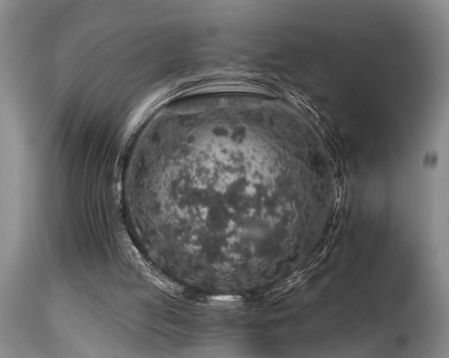 X0000115630053200911101446