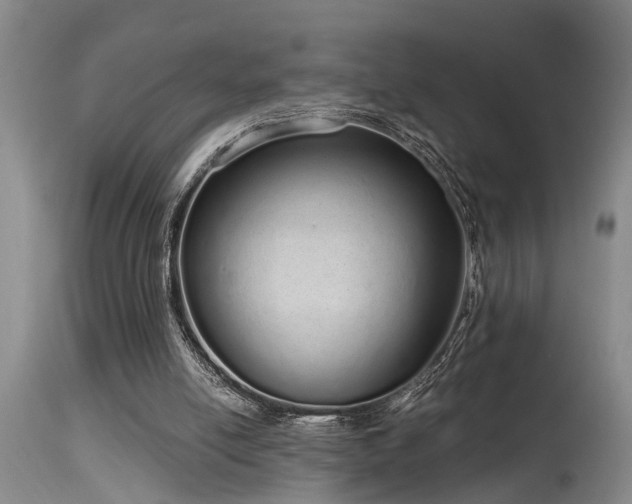 X0000115630054200911101447