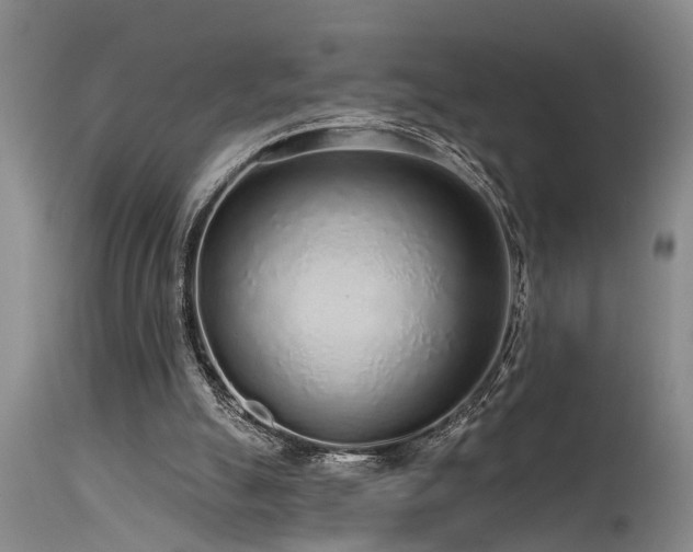 X0000115630055200911101447