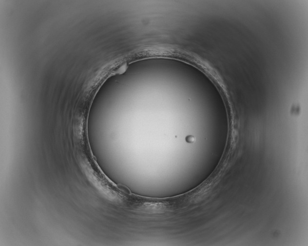 X0000115630057200911101447