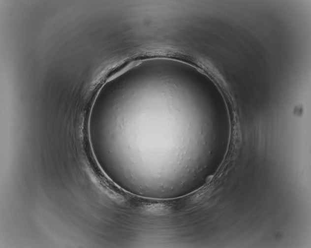 X0000115630058200911101447