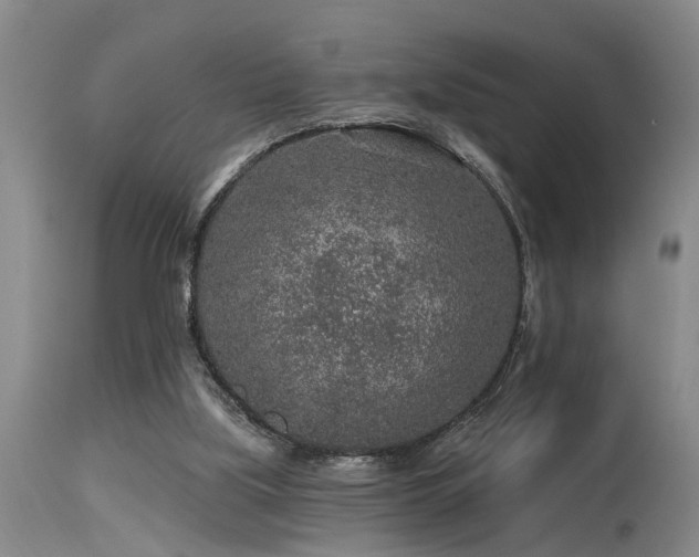 X0000115630059200911101447