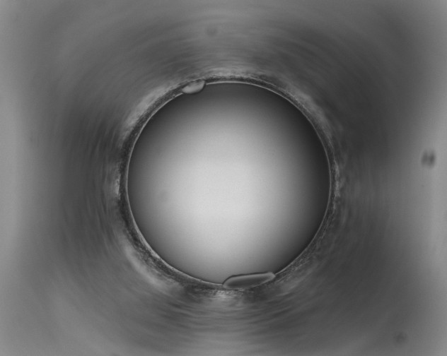X0000115630060200911101447