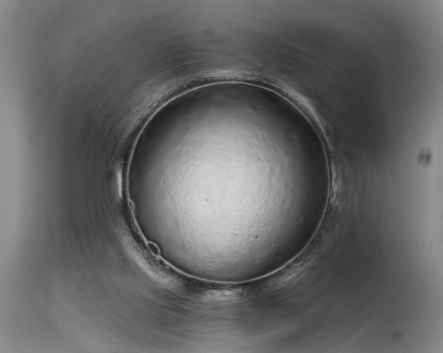 X0000115630061200911101447