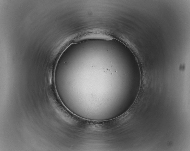 X0000115630062200911101447