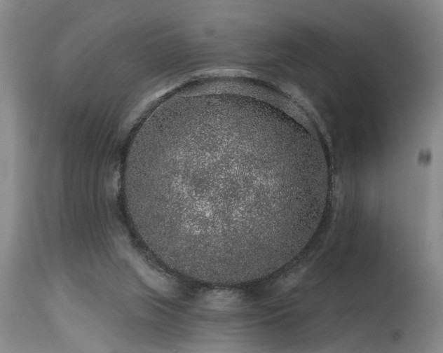 X0000115630063200911101447
