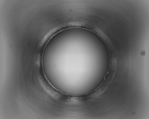 X0000115630064200911101447