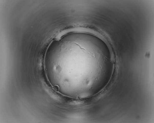 X0000115630065200911101447