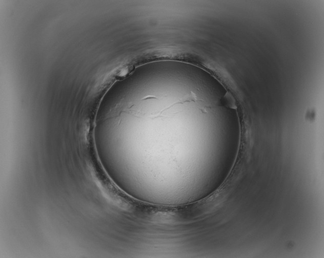 X0000115630066200911101447