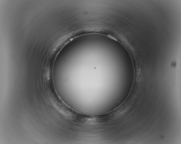 X0000115630068200911101447