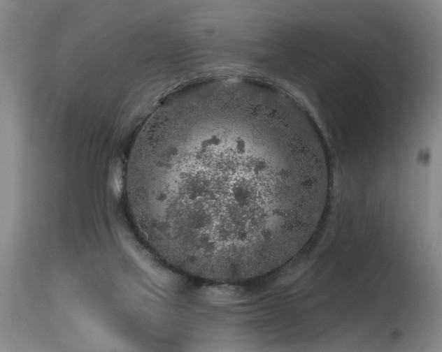 X0000115630069200911101447