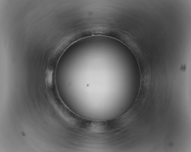 X0000115630070200911101447