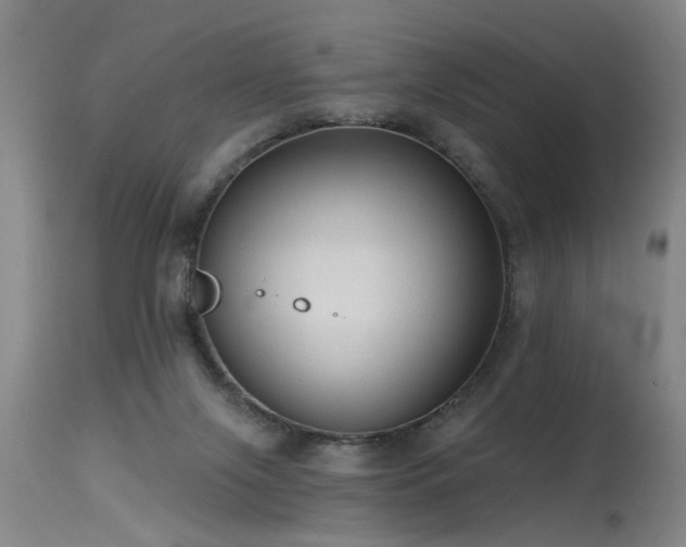 X0000115630071200911101447