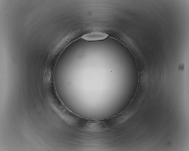 X0000115630072200911101447