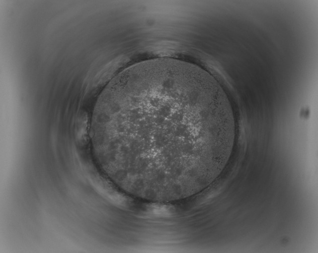 X0000115630073200911101447