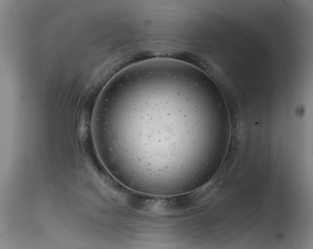 X0000115630074200911101447