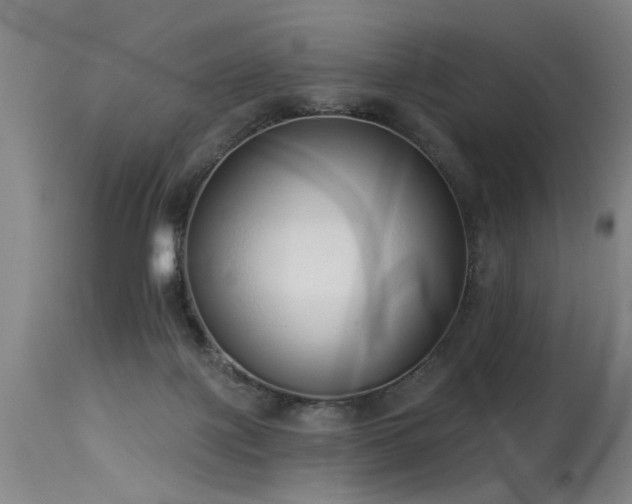 X0000115630075200911101447