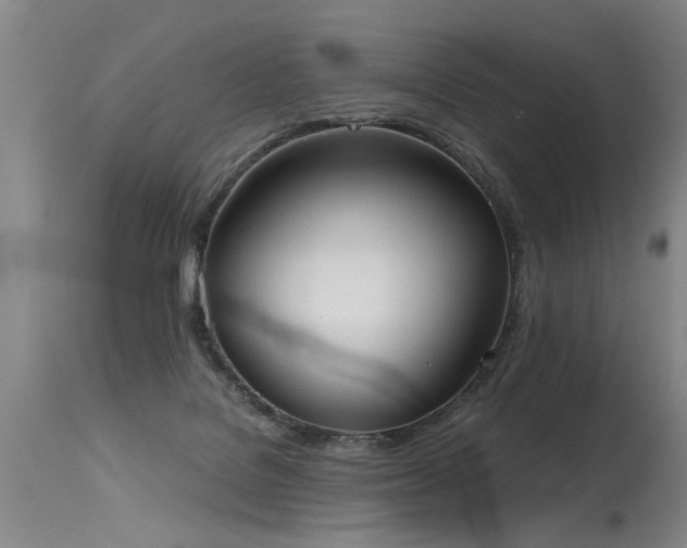 X0000115630076200911101447