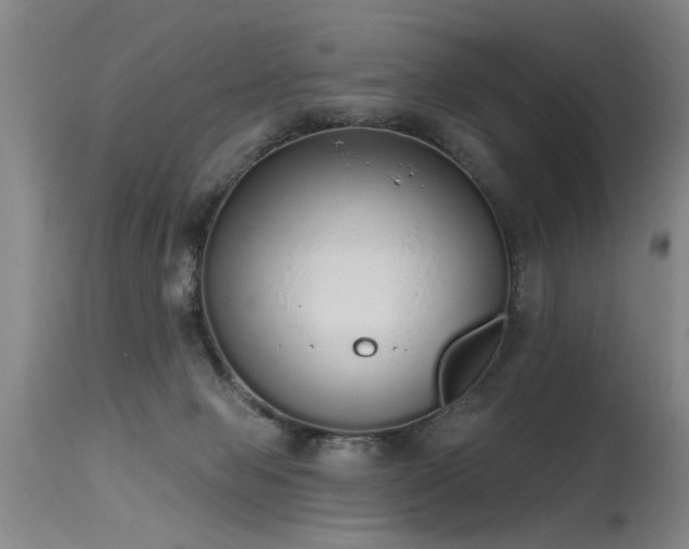 X0000115630077200911101447