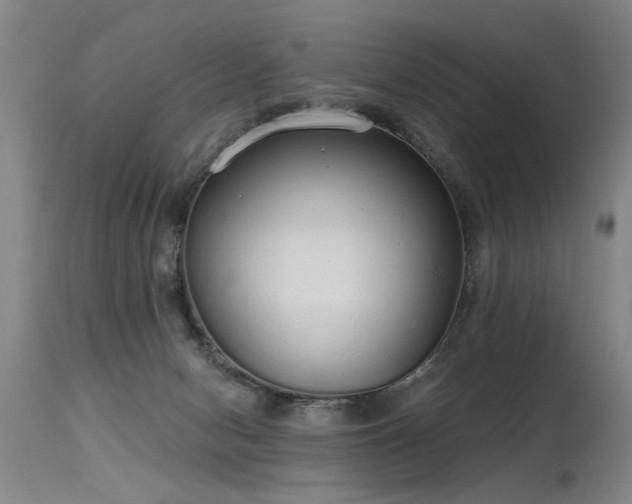 X0000115630078200911101447