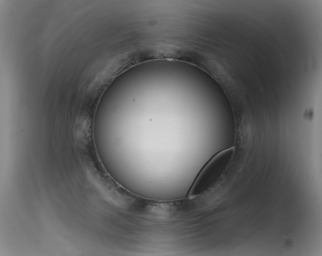 X0000115630079200911101447