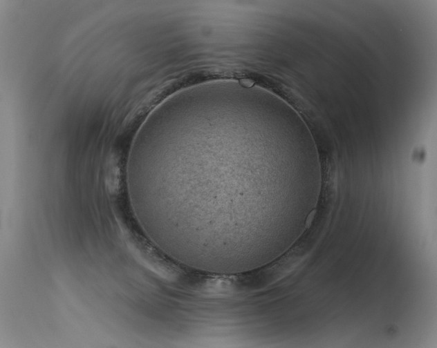 X0000115630080200911101447