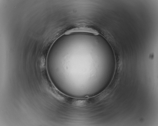 X0000115630081200911101447