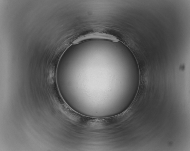 X0000115630082200911101447