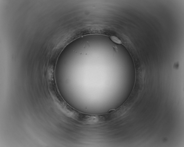 X0000115630083200911101447