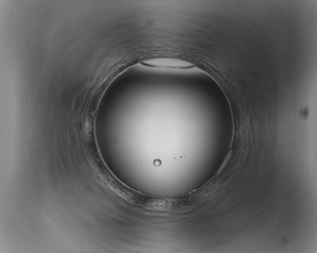 X0000115630084200911101447