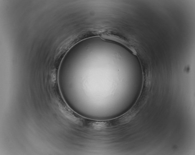 X0000115630085200911101447