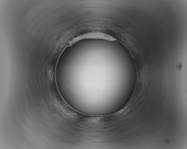 X0000115630086200911101447