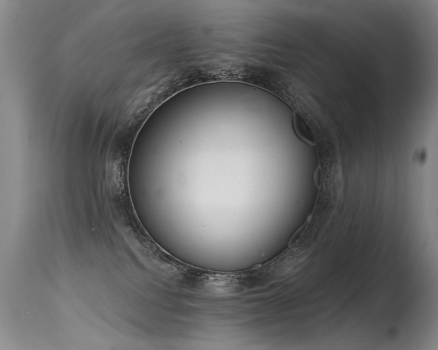X0000115630088200911101447
