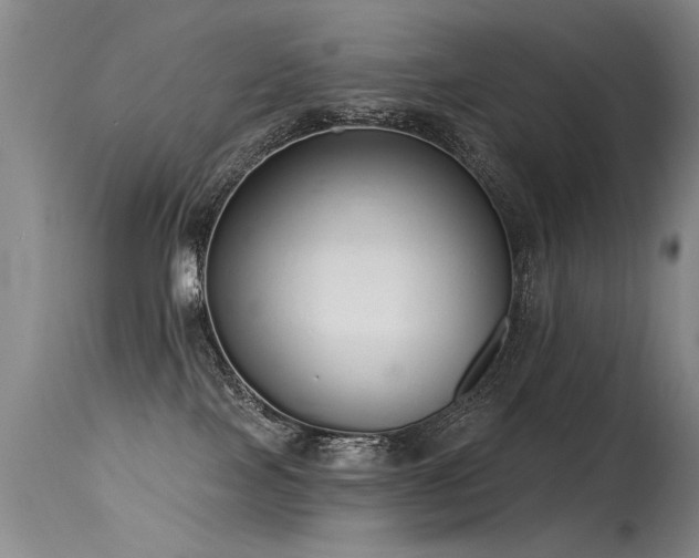 X0000115630089200911101447