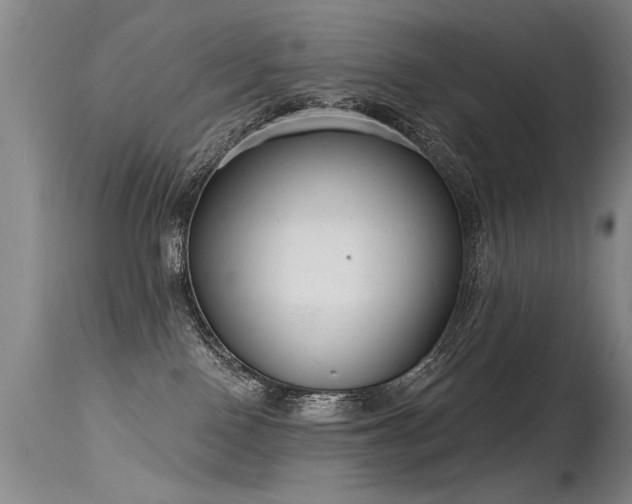 X0000115630090200911101447