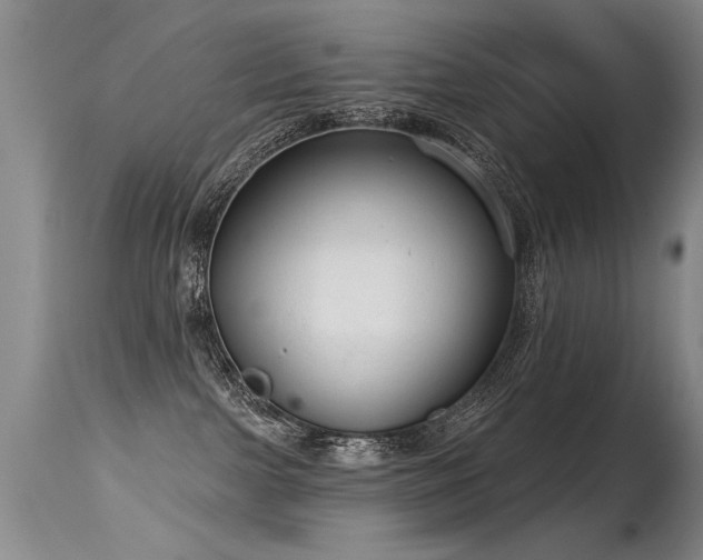 X0000115630091200911101447