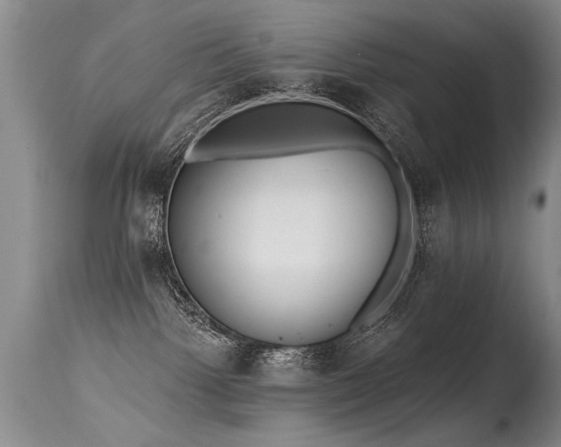 X0000115630092200911101447