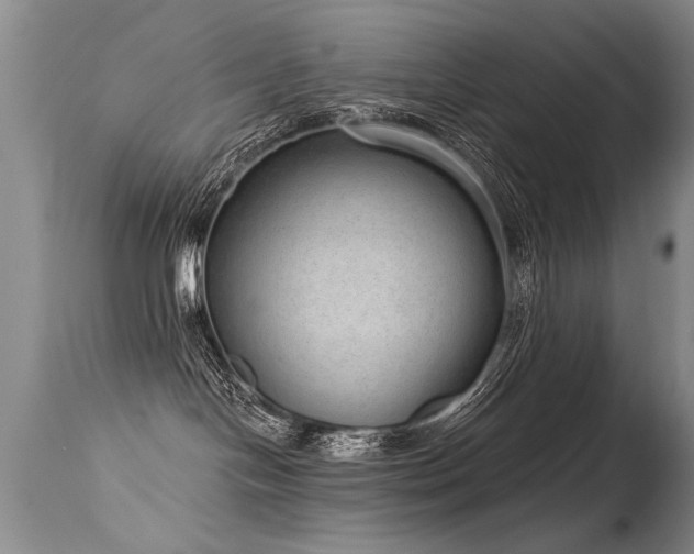 X0000115630094200911101447