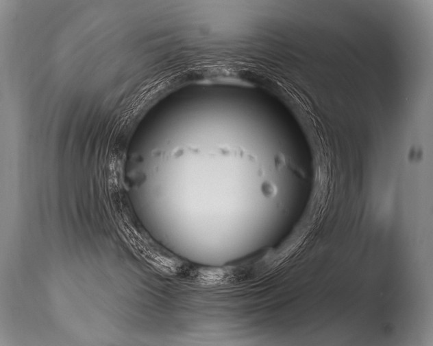 X0000115630096200911101447