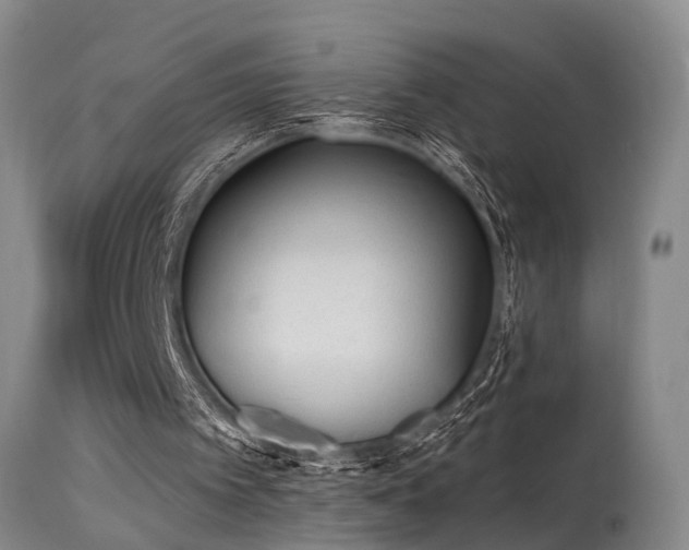 X0000115630097200911101446