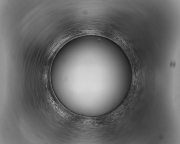 X0000115630098200911101446
