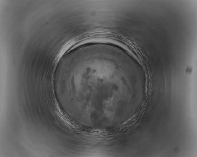 X0000115630099200911101446