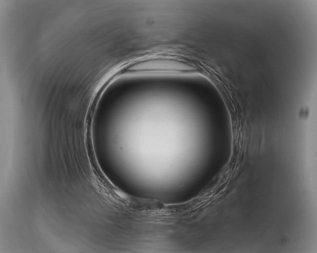 X0000115630100200911101446