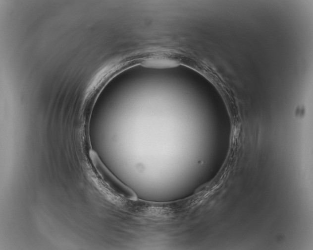 X0000115630101200911101446