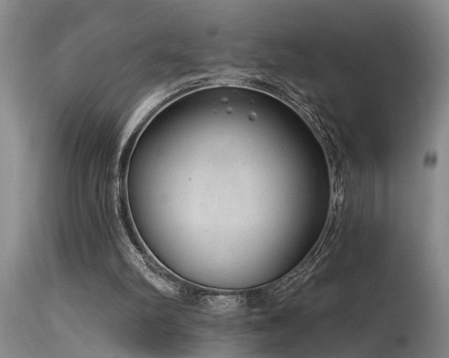 X0000115630102200911101446