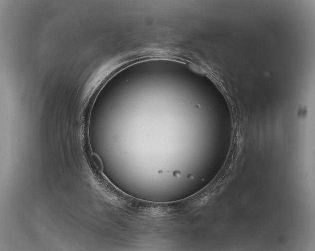 X0000115630103200911101446
