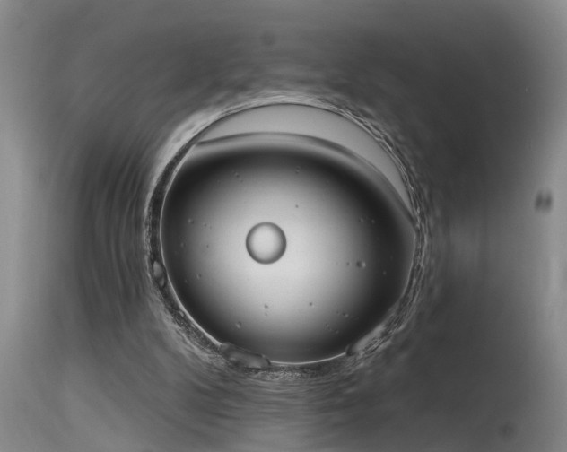 X0000115630104200911101446