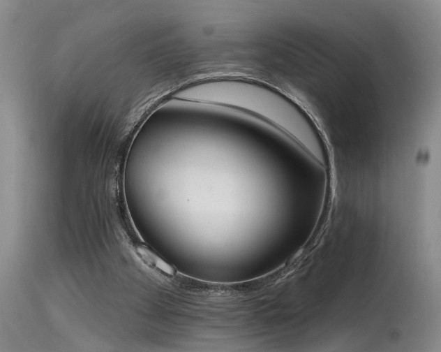 X0000115630105200911101446