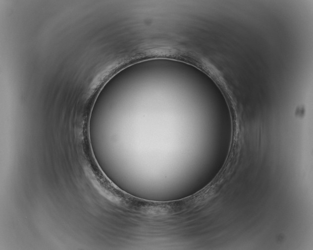 X0000115630106200911101446